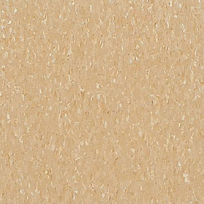 Armstrong Armstrong Commercial Tile - Imperial Texture Camel Beige (Sample) Vinyl Flooring