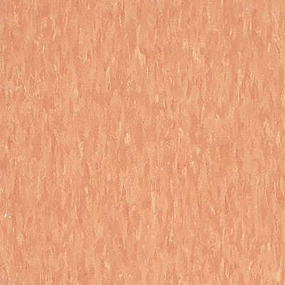 Armstrong Armstrong Commercial Tile - Imperial Texture Cantaloupe (Sample) Vinyl Flooring