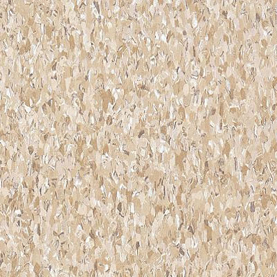 Armstrong Armstrong Commercial Tile - Imperial Texture Cottage Tan (Sample) Vinyl Flooring