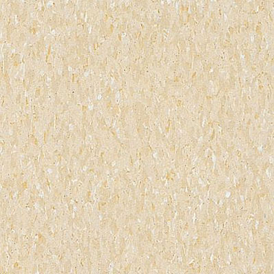 Armstrong Armstrong Commercial Tile - Imperial Texture Desert Beige (Sample) Vinyl Flooring