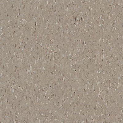 Armstrong Armstrong Commercial Tile - Imperial Texture Earthstone Greige (Sample) Vinyl Flooring