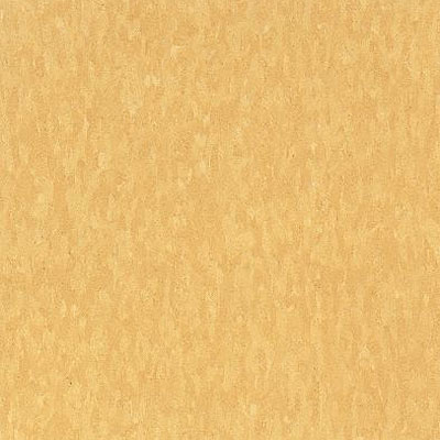 Armstrong Armstrong Commercial Tile - Imperial Texture Golden (Sample) Vinyl Flooring