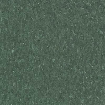Armstrong Armstrong Commercial Tile - Imperial Texture Greenery (Sample) Vinyl Flooring