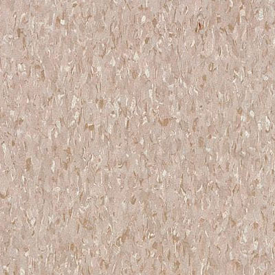 Armstrong Armstrong Commercial Tile - Imperial Texture Hazelnut (Sample) Vinyl Flooring