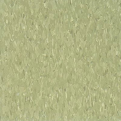 Armstrong Armstrong Commercial Tile - Imperial Texture Little Green Apple (Sample) Vinyl Flooring