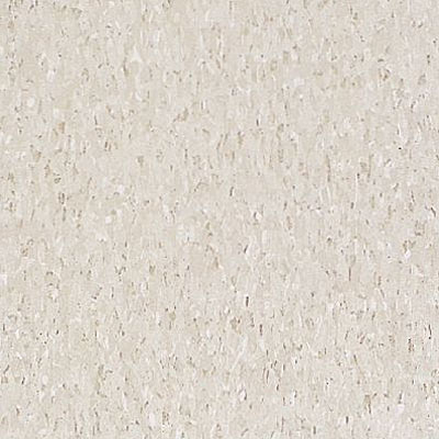 Armstrong Armstrong Commercial Tile - Imperial Texture Pearl White (Sample) Vinyl Flooring