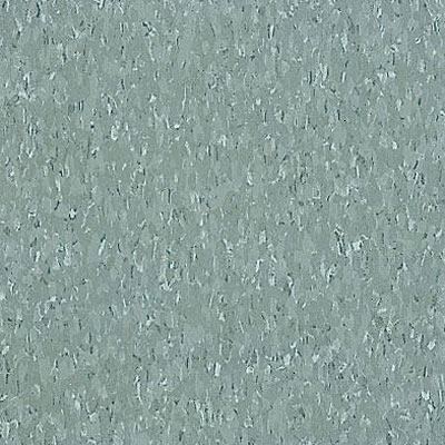 Armstrong Armstrong Commercial Tile - Imperial Texture Silver Green (Sample) Vinyl Flooring