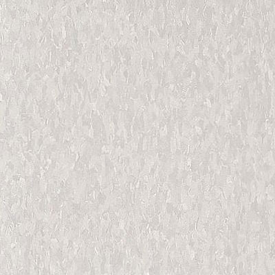Armstrong Armstrong Commercial Tile - Imperial Texture Soft Warm Gray (Sample) Vinyl Flooring