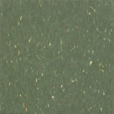 Armstrong Armstrong Commercial Tile - Multicolor Excelon Acrobat Green (Sample) Vinyl Flooring