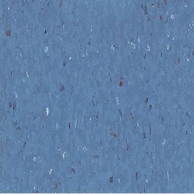 Armstrong Armstrong Commercial Tile - Multicolor Excelon Band Blue (Sample) Vinyl Flooring