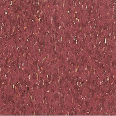 Armstrong Armstrong Commercial Tile - Multicolor Excelon Jester Red (Sample) Vinyl Flooring
