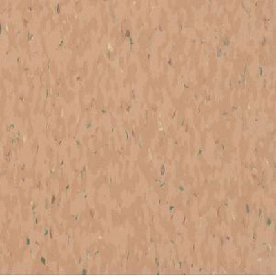 Armstrong Armstrong Commercial Tile - Multicolor Excelon Pageant Spice (Sample) Vinyl Flooring