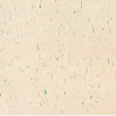 Armstrong Armstrong Commercial Tile - Multicolor Excelon Rodeo Fawn (Sample) Vinyl Flooring