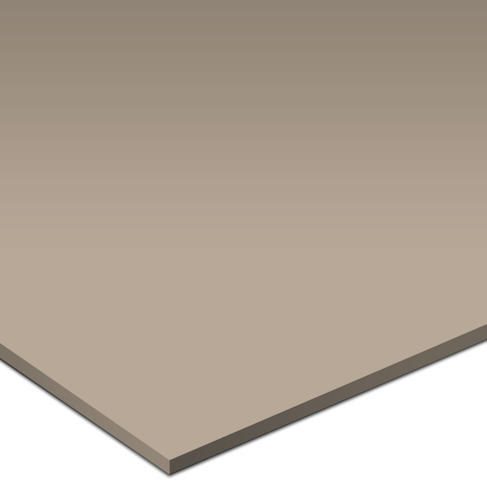 Armstrong Armstrong Commercial Tile - Excelon Feature Tile Taupe II (Sample) Vinyl Flooring