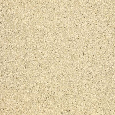 Armstrong Armstrong Inlaid (Felt Back) - Medintech Tandem Oatmeal (Sample) Vinyl Flooring