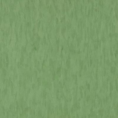 Armstrong Armstrong Commercial Tile - Migrations (Bio Based Tile) Green Grass (Sample) Vinyl Flooring
