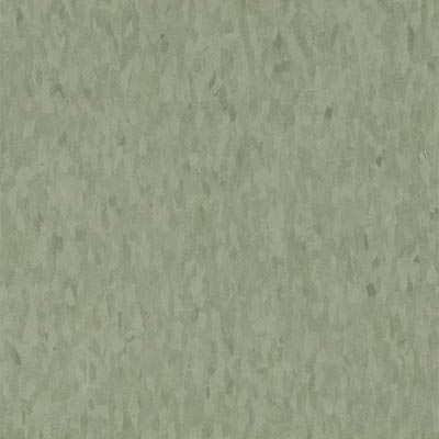 Armstrong Armstrong Commercial Tile - Migrations (Bio Based Tile) Moss Green (Sample) Vinyl Flooring