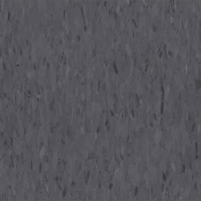 Armstrong Armstrong Commercial Tile - Migrations (Bio Based Tile) Platinum Gray (Sample) Vinyl Flooring