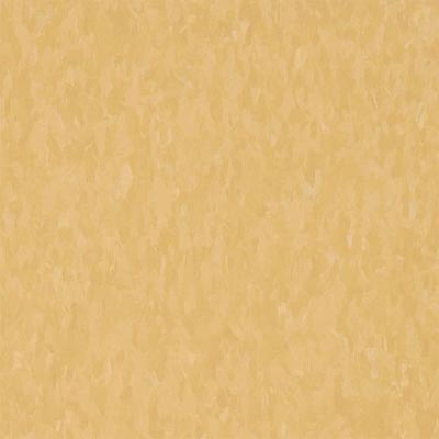 Armstrong Armstrong Commercial Tile - Migrations (Bio Based Tile) Straw Yellow (Sample) Vinyl Flooring