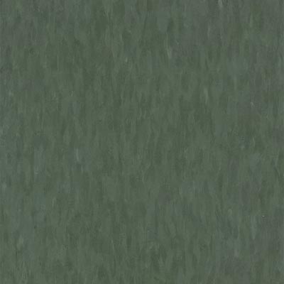 Armstrong Armstrong Commercial Tile - Migrations (Bio Based Tile) Summer Green (Sample) Vinyl Flooring