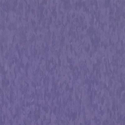 Armstrong Armstrong Commercial Tile - Migrations (Bio Based Tile) Violet Grape (Sample) Vinyl Flooring