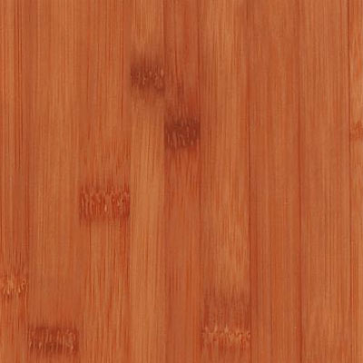 Armstrong Armstrong Mystix 4 x 36 Bamboo Spice Wash (Sample) Vinyl Flooring