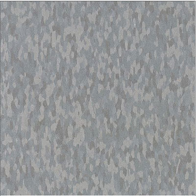 Armstrong Armstrong Commercial Tile - Static Dissipative Tile (SDT) Fossil Gray (Sample) Vinyl Flooring