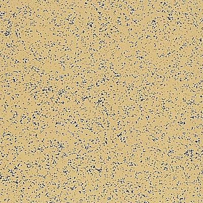 Armstrong Armstrong Commercial Tile - Stonetex Bamboo Yellow (Sample) Vinyl Flooring