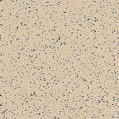 Armstrong Armstrong Commercial Tile - Stonetex Sandstone Tan (Sample) Vinyl Flooring