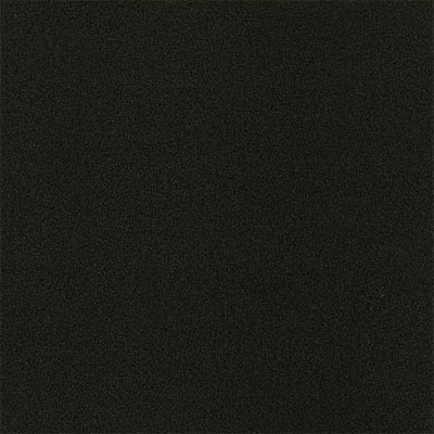 Armstrong Armstrong Alterna Solids Tile Betcha Black (Sample) Vinyl Flooring