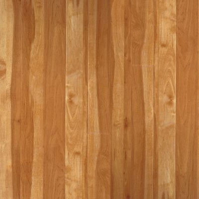 Armstrong Armstrong Natural Living Planks 4 x 36 Wild Cherry (Sample) Vinyl Flooring