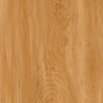 Armstrong Armstrong Natural Personality 6 x 36 Amber Pine (Sample) Vinyl Flooring