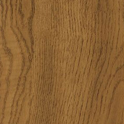 Armstrong Armstrong Natural Personality 6 x 36 Warm Oak (Sample) Vinyl Flooring