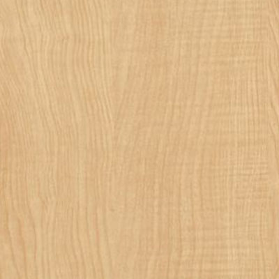 Armstrong Armstrong Natural Personality 6 x 36 White Maple (Sample) Vinyl Flooring