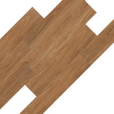 Earth Werks Earth Werks Aurora ARR2043 Vinyl Flooring