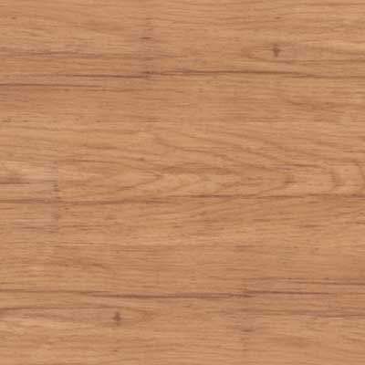 Earth Werks Earth Werks Montana Plank GMP9914 Vinyl Flooring