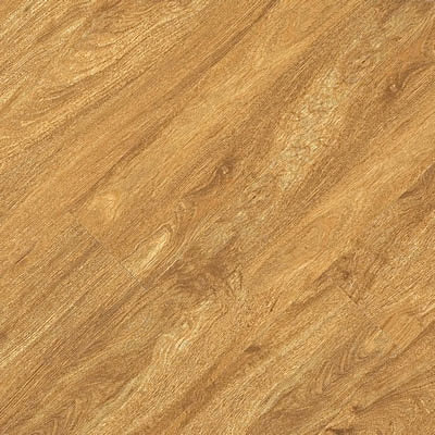 Earth Werks Earth Werks Pacific Plank APP 653 Vinyl Flooring