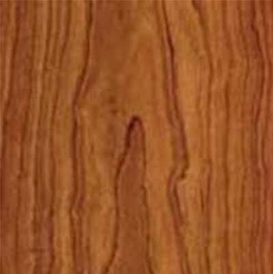 IVC US IVC US Moduleo Vision Click Plank Rio Cherry 20473 Vinyl Flooring