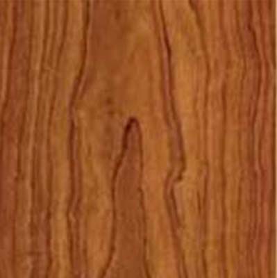 IVC US IVC US Moduleo Vision Dryback Plank Rio Cherry Dryback 20473 Vinyl Flooring