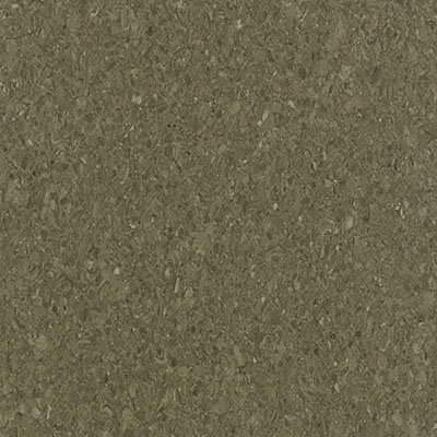 Mannington Mannington Progressions Olivia (Sample) Vinyl Flooring