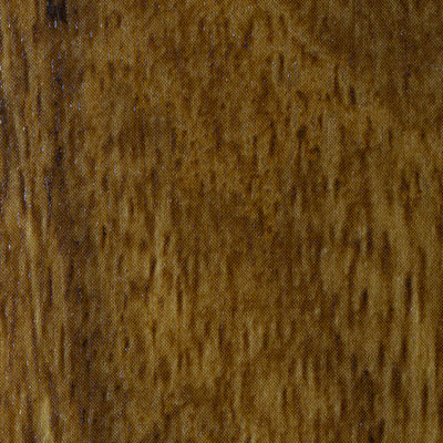 Mannington Mannington Walkway - Plank Australian Acacia (Sample) Vinyl Flooring