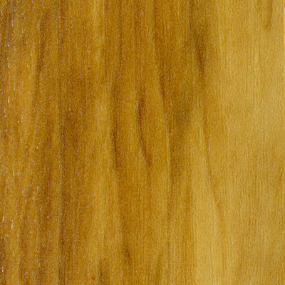 Mannington Mannington Walkway - Plank Spalted Maple (Sample) Vinyl Flooring