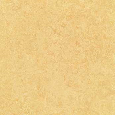 Forbo Forbo G3 Marmoleum Dual Tile 20 x 20 Butter Vinyl Flooring