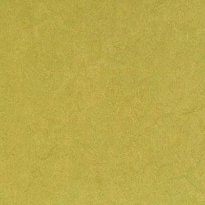 Forbo Forbo Marmoleum Click Square Lime Vinyl Flooring