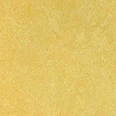 Forbo Forbo Marmoleum Click Square Pineapple Vinyl Flooring