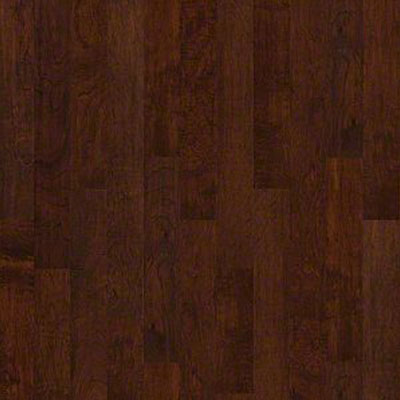 Anderson Anderson Casitablanca Brackish (Sample) Hardwood Flooring