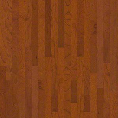Anderson Anderson Hermosa Plank Briar (Sample) Hardwood Flooring