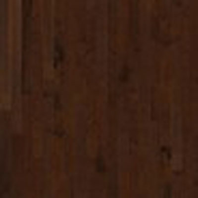 Anderson Anderson Hermosa Plank Cinnaberry (Sample) Hardwood Flooring