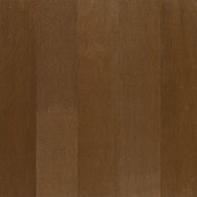 Armstrong Armstrong Performance Plus - Maple Foliage Brown (Sample) Hardwood Flooring