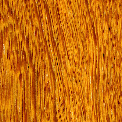 Cikel Cikel Brasilia Solid 3 1/4 Ironwood Natural Hardwood Flooring